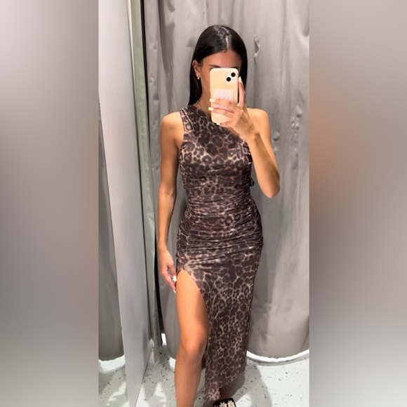 Zara Dresses & Skirts - Zara maxi dress animal print cheetah tulle